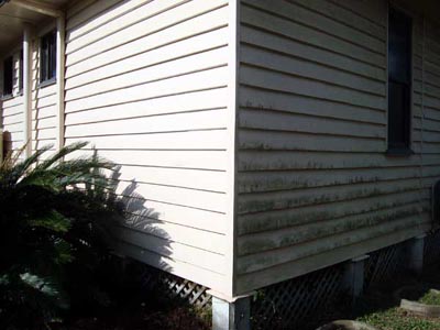 Exterior house wash, clean